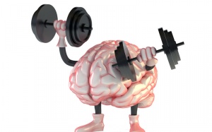 Những dưỡng chất tốt nhất cho não bộ