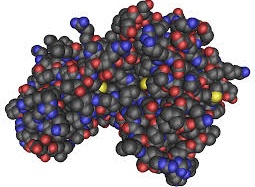“Tập thể dục” bằng TPCN