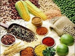 Vi chất dinh dưỡng: Cần ít nhưng phải đủ