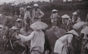 Cuộc sống người Việt đầu thế kỷ 20 qua tư liệu Pháp