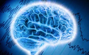 Infographic: Bộ não - Bí ẩn trung tâm điều khiển của con người