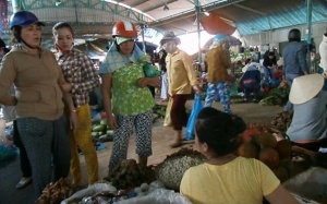 Dân tình đổ xô đi mua củ nén ngừa rắn