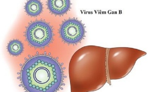 Photo: Cứ 10 người thì có 1 người mắc viêm gan B