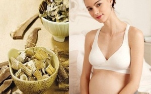 Bà bầu có nên uống thuốc Bắc để dưỡng thai?