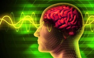 Chuyên gia chia sẻ cách làm chậm lão hóa não