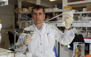 ​Tế bào gốc mới giúp chữa nhiều bệnh nan y