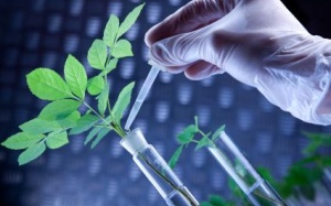 Công nghệ: Chìa khóa tạo nên giá trị TPCN