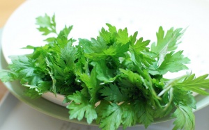 Ngải cứu 'trị' bách bệnh