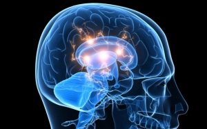 Tại sao nỗi buồn lại khó quên đến vậy?