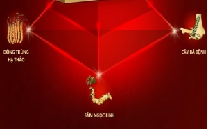 Bí quyết để anh nào cũng là… lần đầu tiên