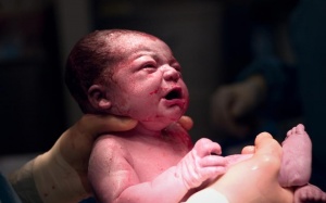 Kỳ diệu em bé chào đời từ người mẹ đã chết