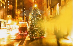 Noel - Cẩn trọng... giữ mình