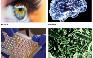 Những đột phá y học ngỡ chỉ có trong phim viễn tưởng (P1)