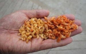 Kinh hãi công nghệ sản xuất tôm khô