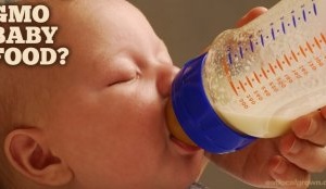 Nestlé có còn nguyên liệu biến đổi gene trong sữa bột Gerber?