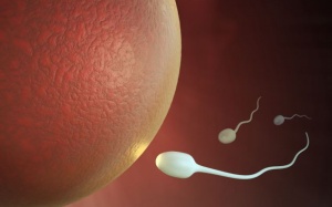 Tinh binh 'vượng' nhất vào mùa Đông