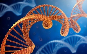 9 điều nên biết về ghép tạng