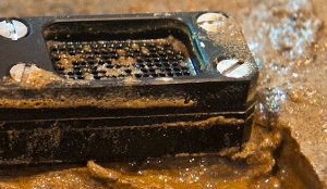 “Chế” thuốc kháng sinh từ… đất