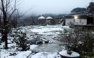 Cận cảnh tuyết rơi trắng xóa Sapa