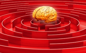 Trò chơi trí tuệ không giúp cải thiện trí óc!