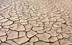 3 lầm tưởng nghiêm trọng của chị em về “hạn hán”