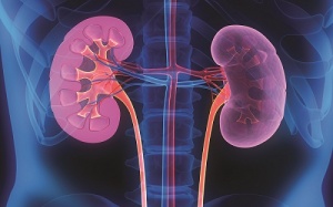 Những loại thuốc gây hại cho thận