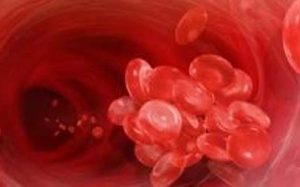 Làm thế nào để làm tan cục máu đông trong lòng mạch?