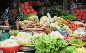 Bộ trưởng Cao Đức Phát: 'Dân trồng rau sạch ăn, rau nhiễm thuốc để bán'