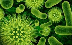 Immunepath-IP: Nguyên liệu cho sức khỏe trong thế kỷ 21