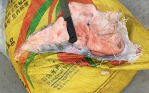 Hà Nội: bắt giữ và tiêu hủy 3,5 tấn nầm lợn không rõ nguồn gốc