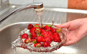 6 bước đảm bảo an toàn khi ăn hoa quả tươi