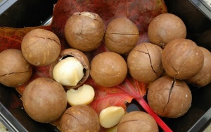 Công dụng bất ngờ của hạt maca