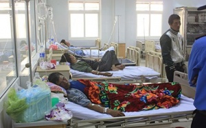 Nghệ An: Ba ngư dân ngộ độc cá nóc