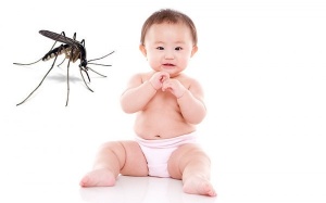 Cần Thơ: Nhiều bệnh nhi sốt xuất huyết nặng