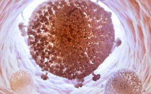 Lần đầu tiên “xóa sổ” virus HIV trong ADN của người