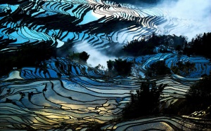 20 cánh đồng lúa đẹp kỳ diệu của vùng Viễn Đông