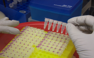 Virus Ebola đang biến đổi cực nhanh