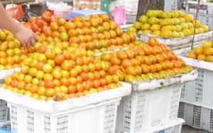 Nhuộm màu, tẩy tem: Hàng Trung Quốc thành đặc sản Đà Lạt