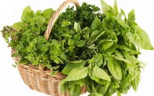 Video: Mẹo để giữ rau sống tươi lâu