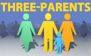 Sẽ có em bé được sinh ra từ... ba cha mẹ?