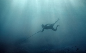 Sức mạnh của 'đột biến gene' (P2)