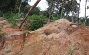 Điểm tin 10/2: Sập hầm khai thác đá quý, 3 người tử vong