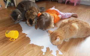 Ngộ nghĩnh hình ảnh các bé với vật nuôi