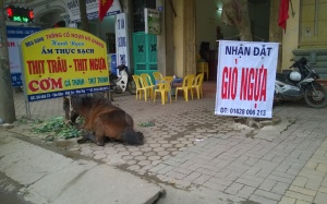 Giò 'độc và lạ' hút khách ngày Tết