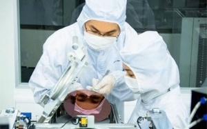 Tìm ra cách làm chậm tiến trình phát triển bệnh ung thư