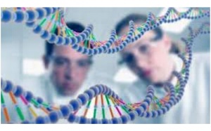 Điều kỳ diệu y khoa 2015?