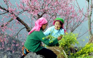 Miền Bắc ấm dần lên