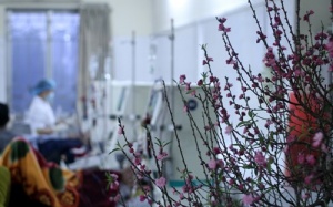 Ở nơi không có ngày nghỉ Tết