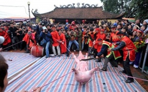 Bất chấp dư luận, dân Ném Thượng vẫn chém lợn