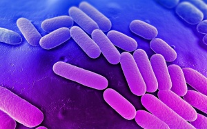 Mổ nội soi có nguy cơ gây nhiễm khuẩn